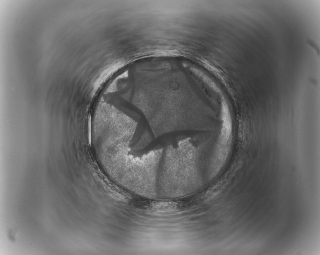 X0000102521171200808291750