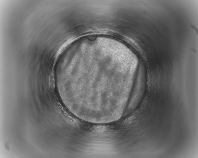 X0000102521172200808291750