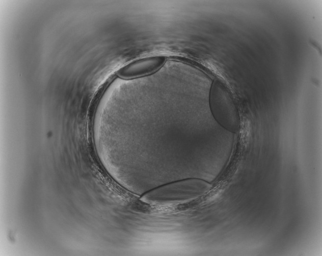 X0000102521173200808291750