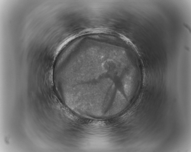 X0000102521174200808291750