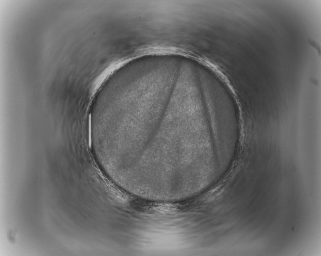 X0000102521175200808291750