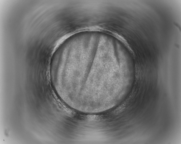 X0000102521176200808291750