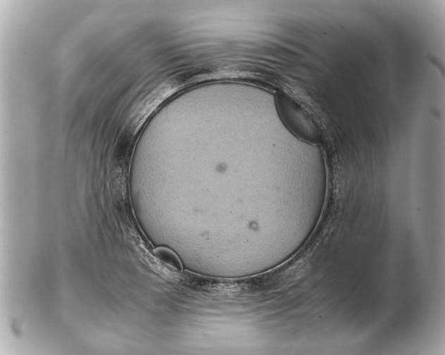 X0000102521177200808291750