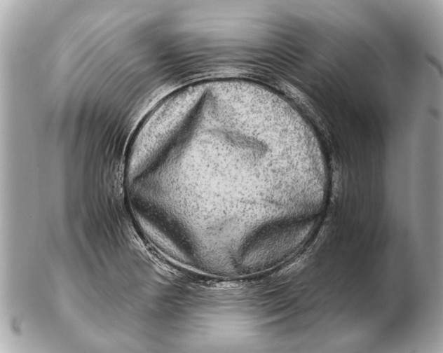 X0000102521178200808291750