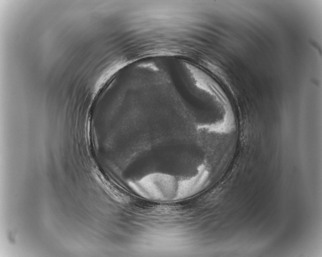 X0000102521179200808291750