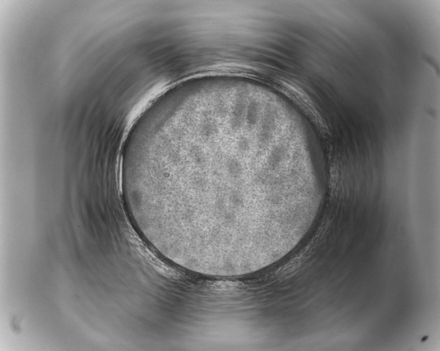 X0000102521180200808291750