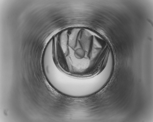 X0000102521181200808291750