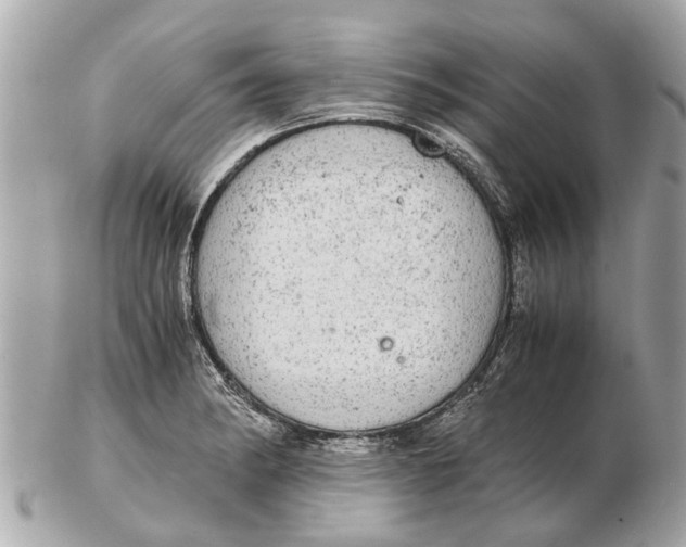 X0000102521182200808291750