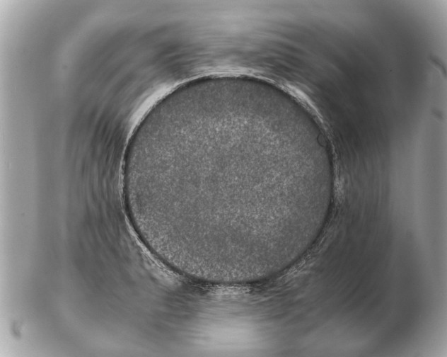 X0000102521183200808291750