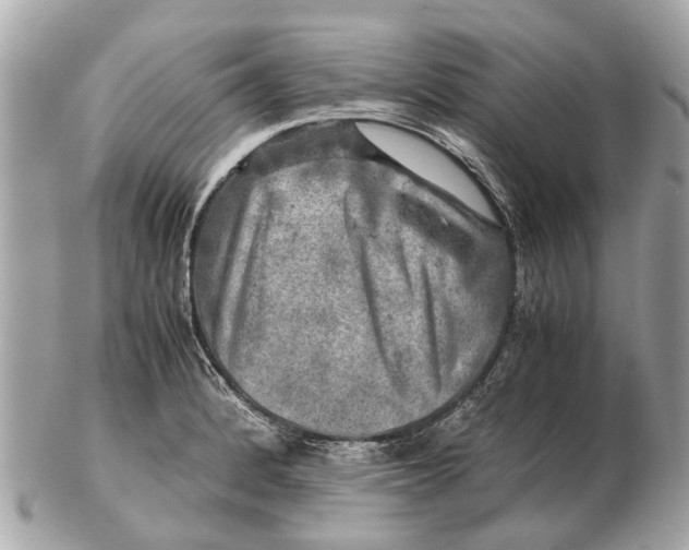 X0000102521184200808291750