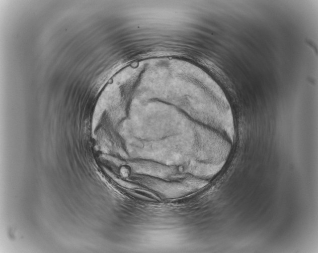 X0000102521185200808291750