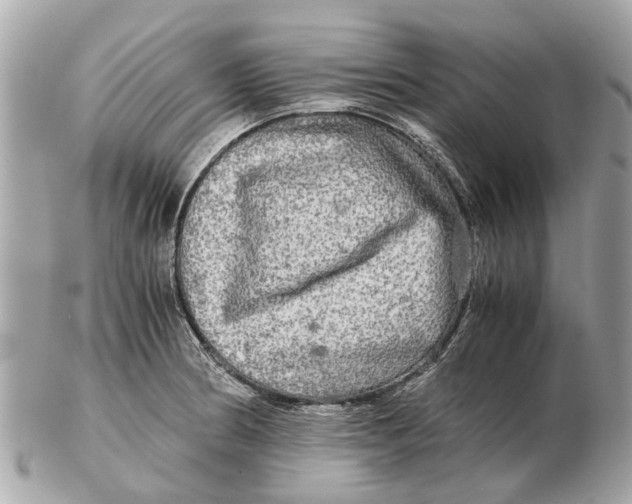 X0000102521186200808291750