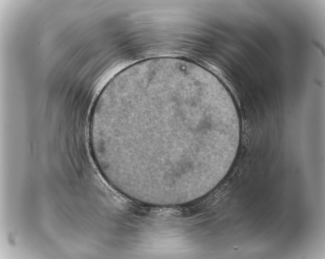 X0000102521187200808291750