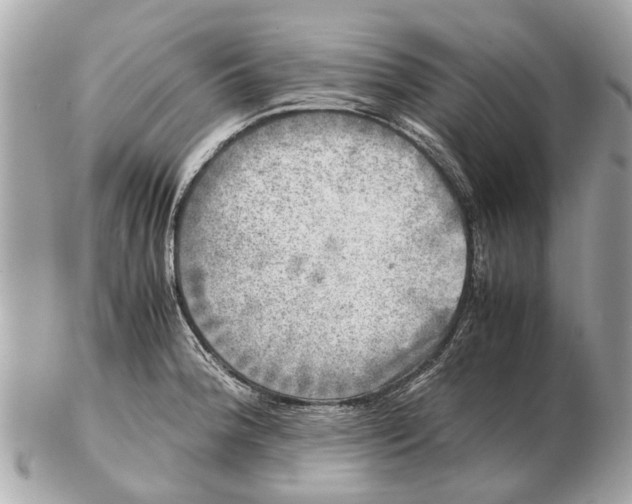 X0000102521188200808291750