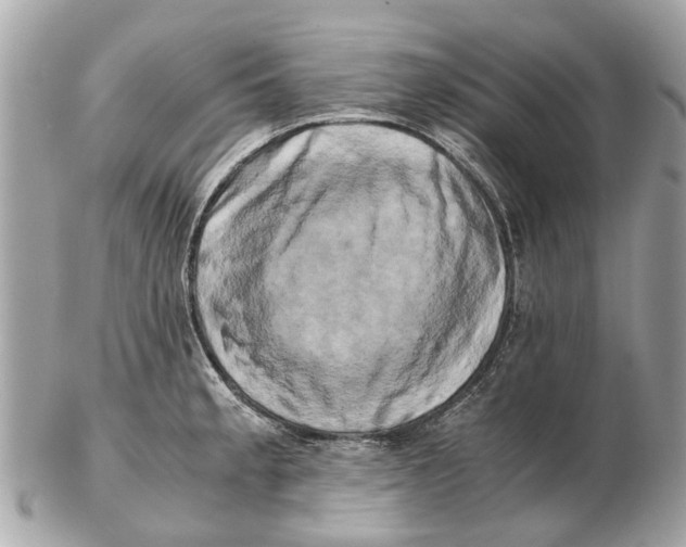 X0000102521189200808291750