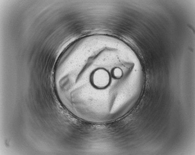 X0000102521190200808291750