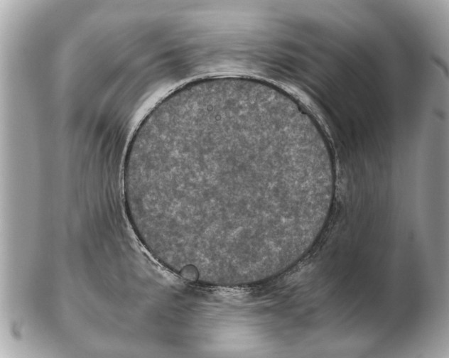 X0000102521191200808291750