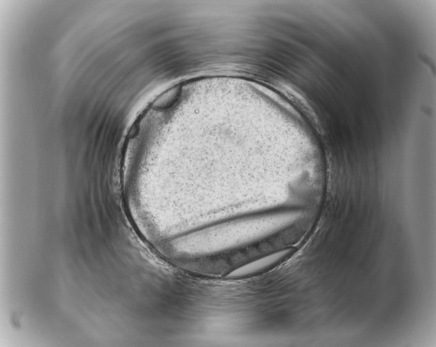 X0000102521192200808291750