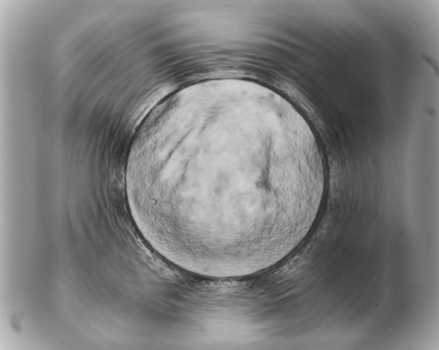 X0000102521193200808291750