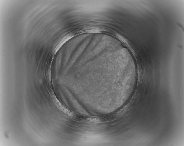 X0000102521194200808291750