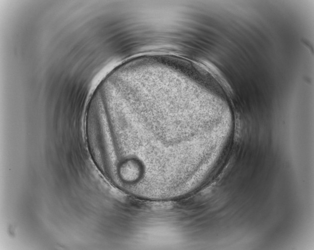 X0000102521196200808291750