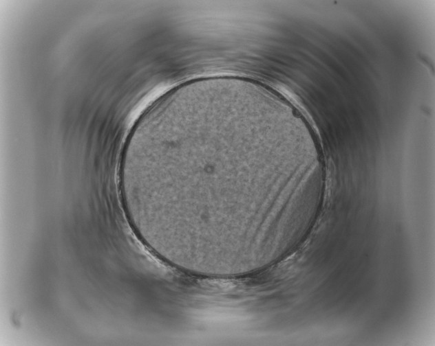 X0000102521197200808291750