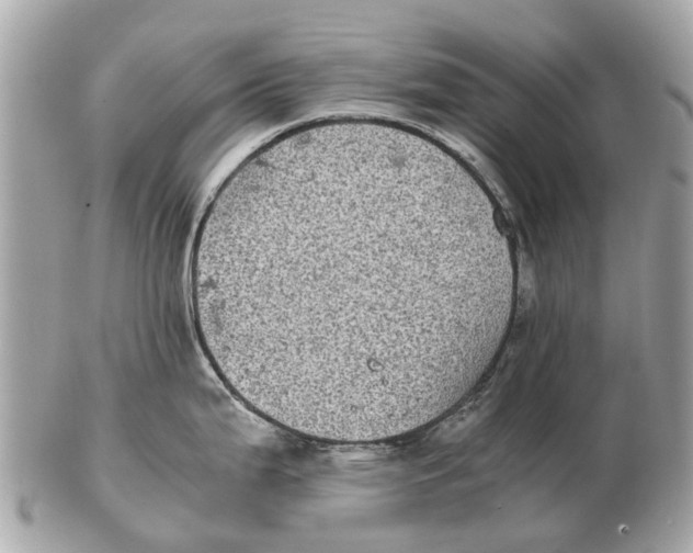 X0000102521199200808291750