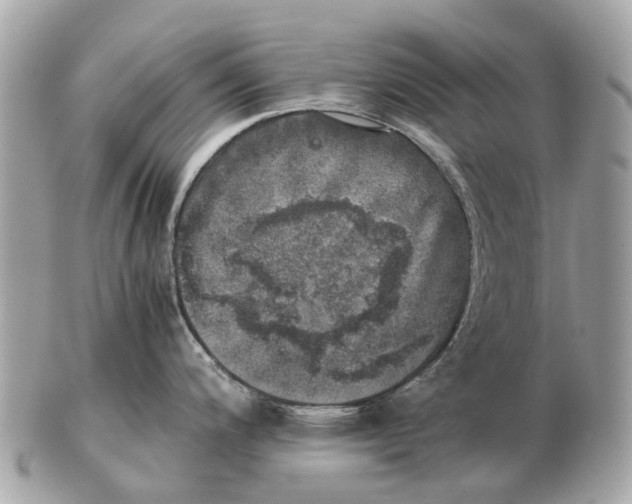 X0000102521200200808291750