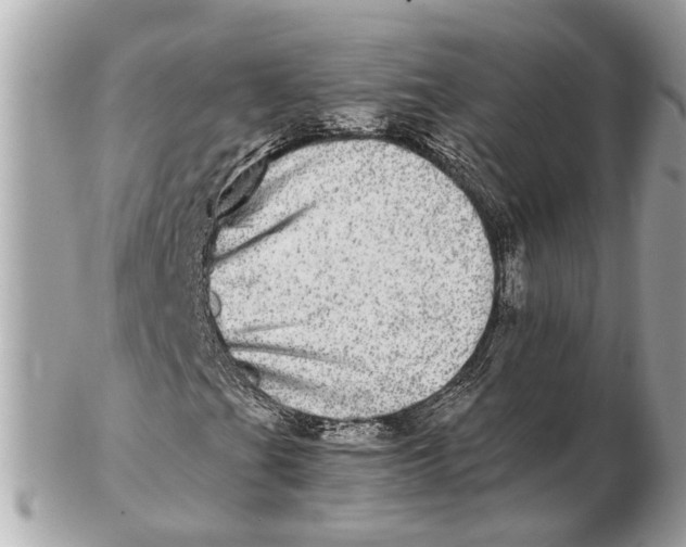 X0000102521201200808291749