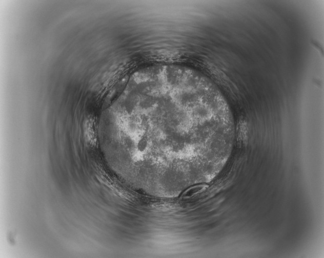 X0000102521202200808291749