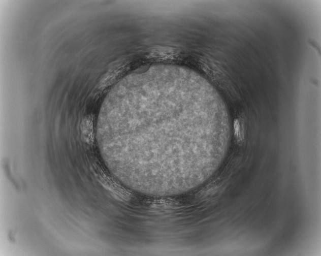 X0000102521203200808291749