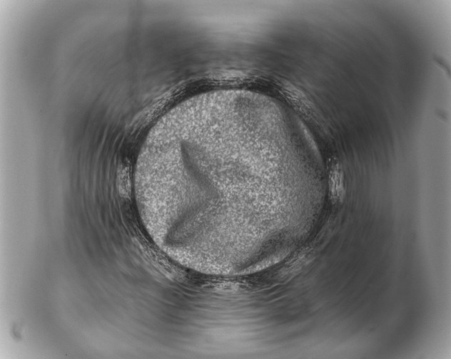 X0000102521204200808291749