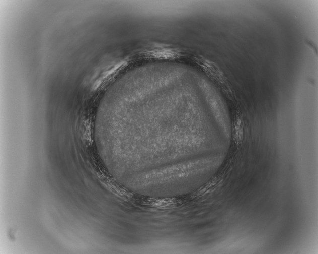 X0000102521205200808291749