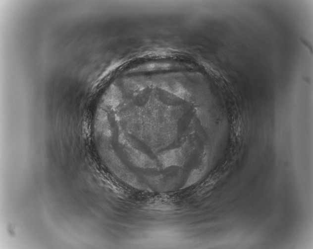 X0000102521206200808291749