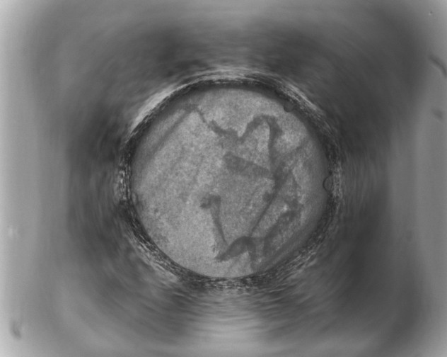 X0000102521208200808291749