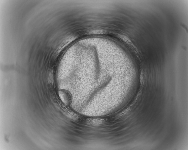 X0000102521209200808291749