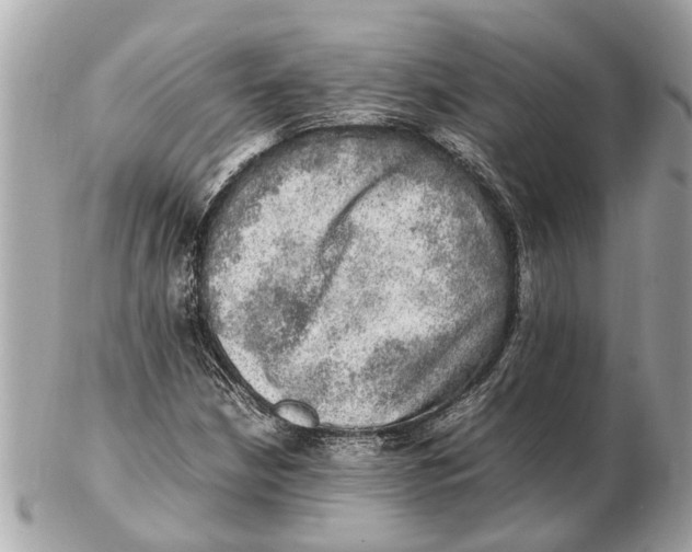 X0000102521210200808291749