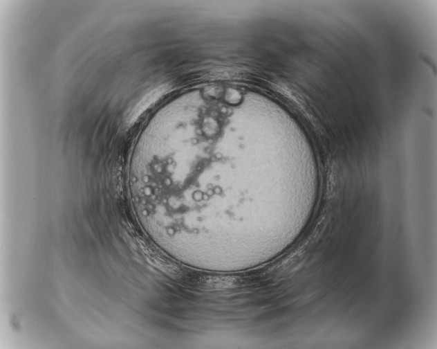 X0000102521211200808291749