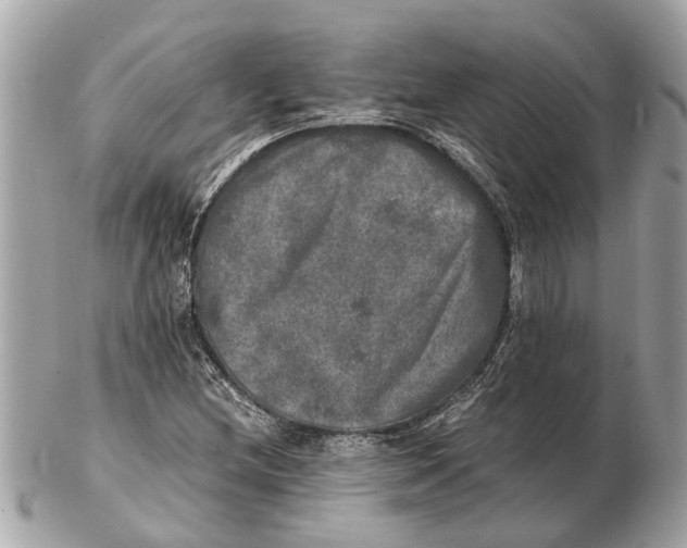 X0000102521212200808291749