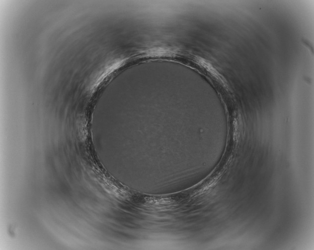 X0000102521213200808291749