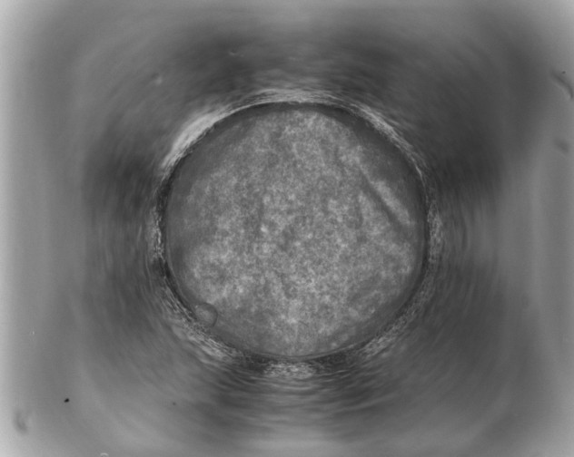 X0000102521215200808291749