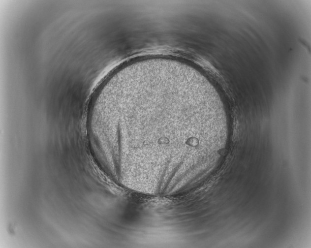 X0000102521216200808291749