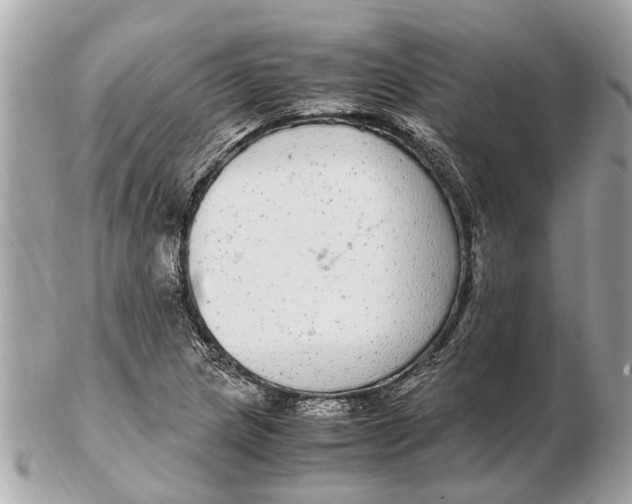 X0000102521217200808291749