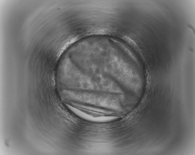 X0000102521218200808291749