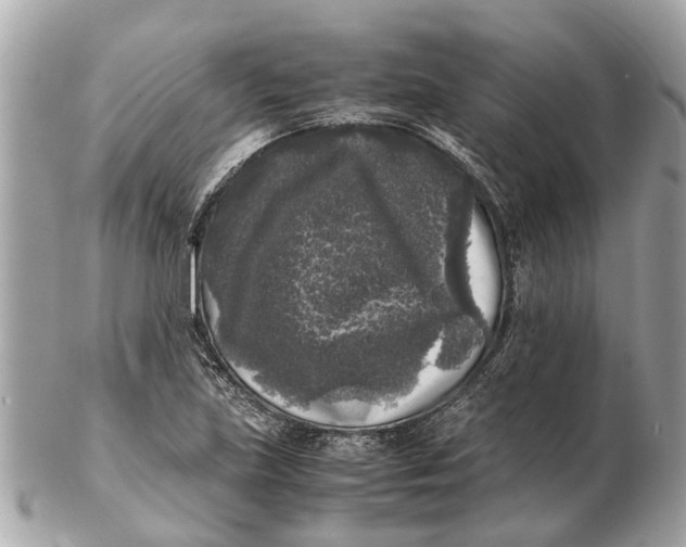 X0000102521219200808291749