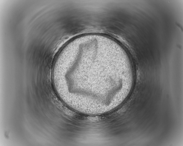 X0000102521220200808291749