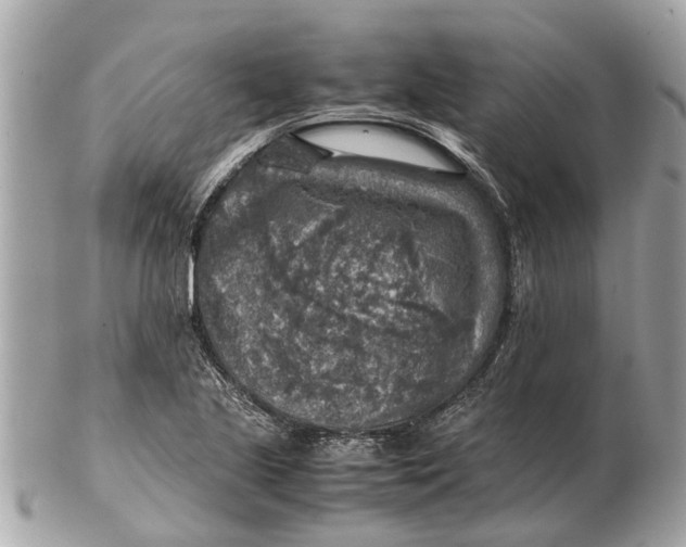 X0000102521221200808291749