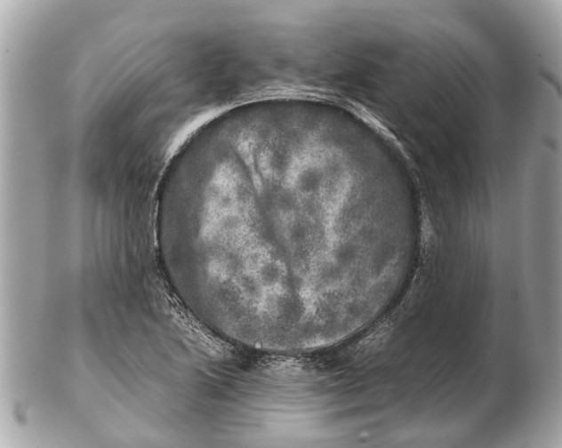 X0000102521222200808291749