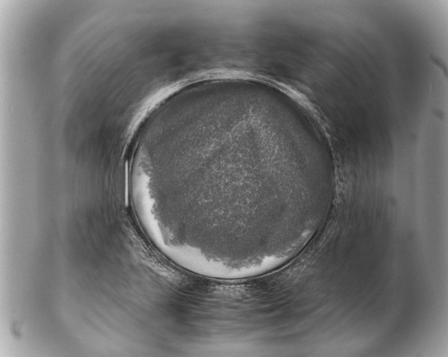 X0000102521223200808291749