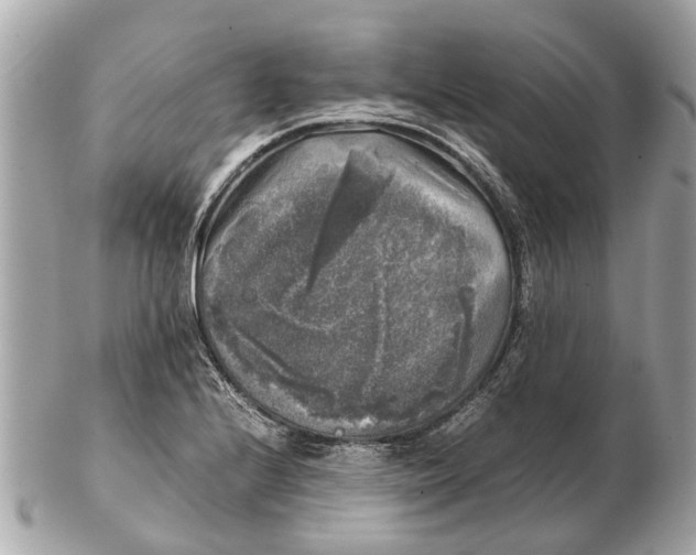 X0000102521224200808291749